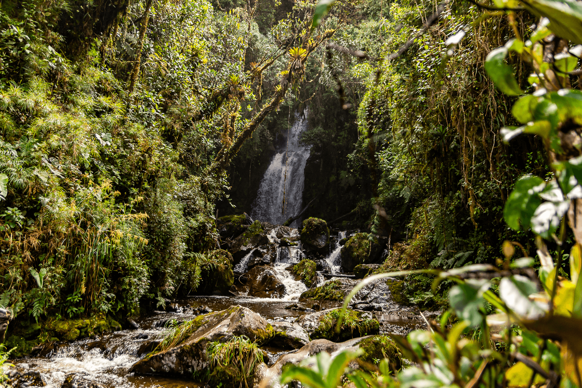 3 Días dos noches en Nariño